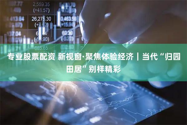 专业股票配资 新视窗·聚焦体验经济｜当代“归园田居”别样精彩